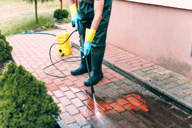 Best Driveway Pressure Washing  in Johnson City, NY